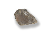 M 02241
<br/>
<br/>
<em></em>
